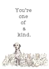 You're One of a Kind Unique Dog and Cat Dalmatian Friendship Card created by Wandering Laur