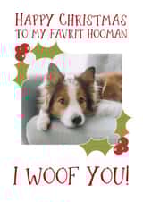 Personalised Christmas Photo Card created by Giddy Kipper - Cute Personalised Christmas Card / Photo Card - From The Dog - To My Favourite Hooman I Woof You