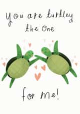 Turtley The One For Me created by Chloe Fae Designs