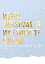 dog funny Christmas Card 14521 created by designsbyphia