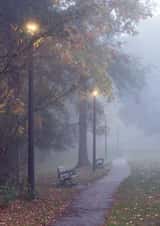 Card 27761 created by Rick Shea