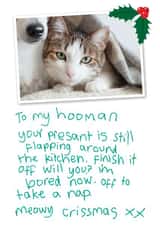 Personalised Christmas Photo Card created by Kyleigh Orlebar - Funny Personalised Christmas Card / Photo Card - From The Cat - To My Hooman