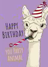 party hat lama Birthday Card 10371 created by Yeti Design