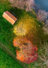 Card 22375 created by Dave Peck