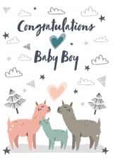 Congratulations Baby Boy - Llama / Alpaca created by JMK Illustration