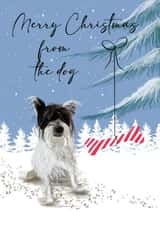 Card 42315 created by Tutti Frutti Designs