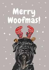 Dog from the dog Christmas Card 20650 created by Studio Woof