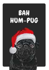pug pun Christmas Card 20651 created by Studio Woof