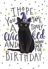 cat wicked Birthday Card 14808 created by Hot Dog greetings