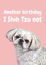 illustration pun Birthday Card 20654 created by Studio Woof