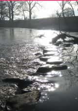 Card 41547 created by Hasser's Handywork