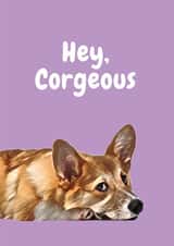 hey dog Valentines Day Card 20656 created by Studio Woof