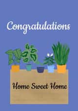 congrats home sweet home New Home Card 18684 created by AM Designs