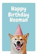 from the dog dog Birthday Card 20657 created by Studio Woof