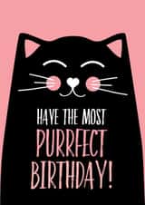 cat from the cat Birthday Card 12874 created by Blush & Blossom 
