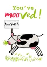 Funny Cow Pun New Home Card - New Patch - You've Mooved created by suzcreate