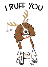 spaniel ruff Card 46632 created by HabFab