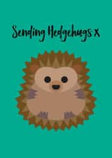 Sending hedgehugs card created by Chameleon and Co