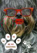Valentine, shaggy dog, hot lips, pucker up, red sun-glasses, love, hugs and kisses Card 46856 created by Audrey Drake