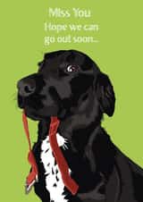 miss you dog Love & Friendship Card 24545 created by Perkins & Morley