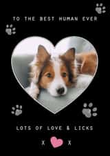 Personalised Birthday Photo Card created by Marie Goodchild - Cute Personalised Dog Photo Card / Birthday Card - To The Best Human Ever Lots Of Love & Hugs