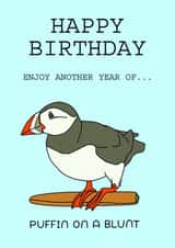 pun puffin Birthday Card 41631 created by Henry Wahl