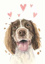 working spaniel dog Card 21225 created by Robert James Hull