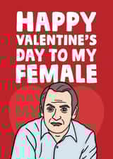 Funny Valentines Day Card - Friday Night Dinner - Martin - Happy Valentine's Day To My Female created by Studio Doodles