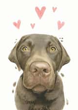 Chocolate Labrador Labrador  Just because Card 21227 created by Robert James Hull