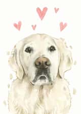 golden retriever love Just because Card 21228 created by Robert James Hull