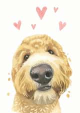 labradoodle dog Just because Card 21229 created by Robert James Hull