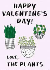 Plant mum plants Valentines Day Card 13669 created by O WHAT A FEELING