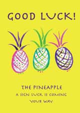 good luck bright colours Card 46660 created by INDIGO PRAWN