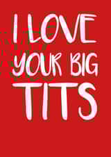 love big Valentines Day Card 16917 created by Rude Cards