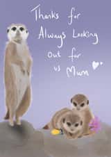 meerkats animals Mothers Day Card 20981 created by mvk_prints