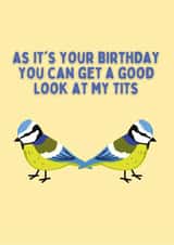 Look At My Tits For Your Birthday created by Kelly May