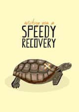 recovery sorry Get Well Card 16734 created by Pearl Ivy