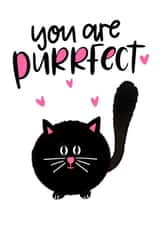 perfect purr Valentines Day Card 34336 created by Mia Loves Letters