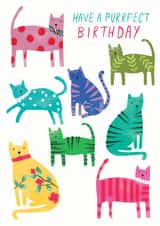 cats illustration Birthday Card 19480 created by The Boy and the Bear