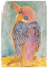 Pigmy Kingfisher created by Sally Taylor