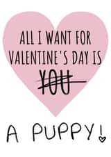 all i want puppy Valentines Day Card 46684 created by Cowpat Designs
