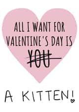 all i want kitten Valentines Day Card 46685 created by Cowpat Designs