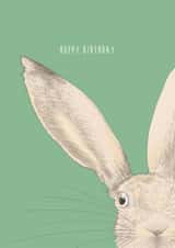 'Hoppy Birthday' Rabbit Birthday Card created by Kate Daniels Design