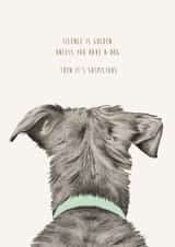 Funny Dog Birthday Card created by Kate Daniels Design