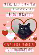 Personalised Valentines Day Photo Card created by Miümi Cat - cheeky poem Valentines Day Personalised Photo Card 9808