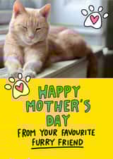 Personalised Mothers Day Photo Card created by Angela Chick - Cute Cat Mother's Day Photo Card - Happy Mother's Day From Your Favourite Furry Friend