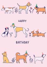 Dog Birthday card created by Emma Tobey Illustration
