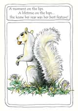 Squirrel acorn Birthday Card 47735 created by Margaret Turton