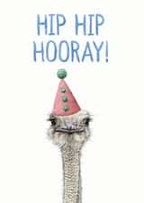 hip hip hip hip hooray Birthday Card 40661 created by Ink Bandit