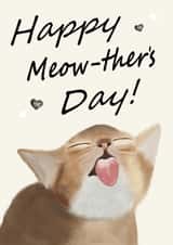 meow-thers pum Mothers Day Card 12430 created by onethirtysix_am